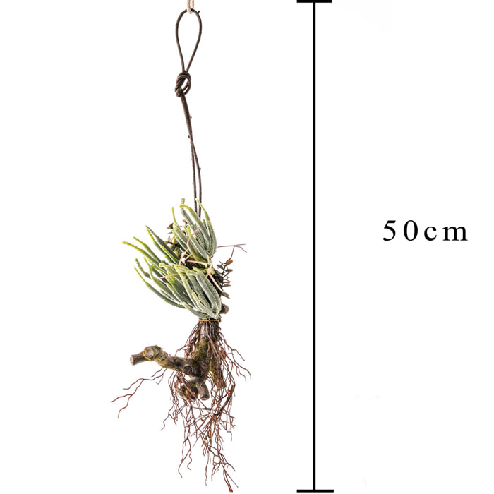 Tillandsia Con 16 Foglie. Altezza 50 Cm - Pezzi 1 - 25X50X13cm - Colore: Verde - Bianchi Dino - Piante Artificiali