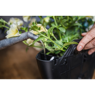 Maceta de pared autorriego negra con 2 plantas colgantes