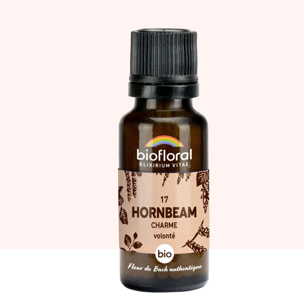 Biofloral - 17 Hornbeam, Charme - Bio - 19,5 gr