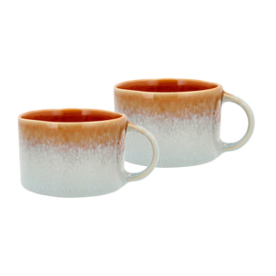 Set de 2 mugs avec anse Styles 16cl