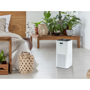 Purificateur d'air avec filtre HEPA, PM2, ioniseur, écran tactile LED, 3 vitesses et mode AUTO pour 60m2