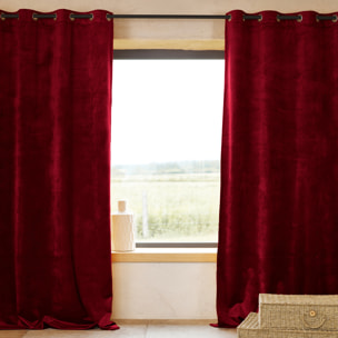 Rideau Ignifugé  M1 en velours premium - Bordeaux