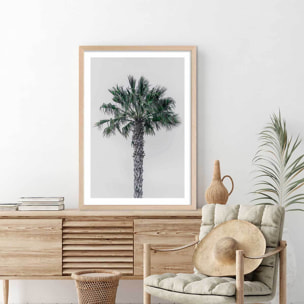 Affiche coconut palm Affiche sous cadre bois