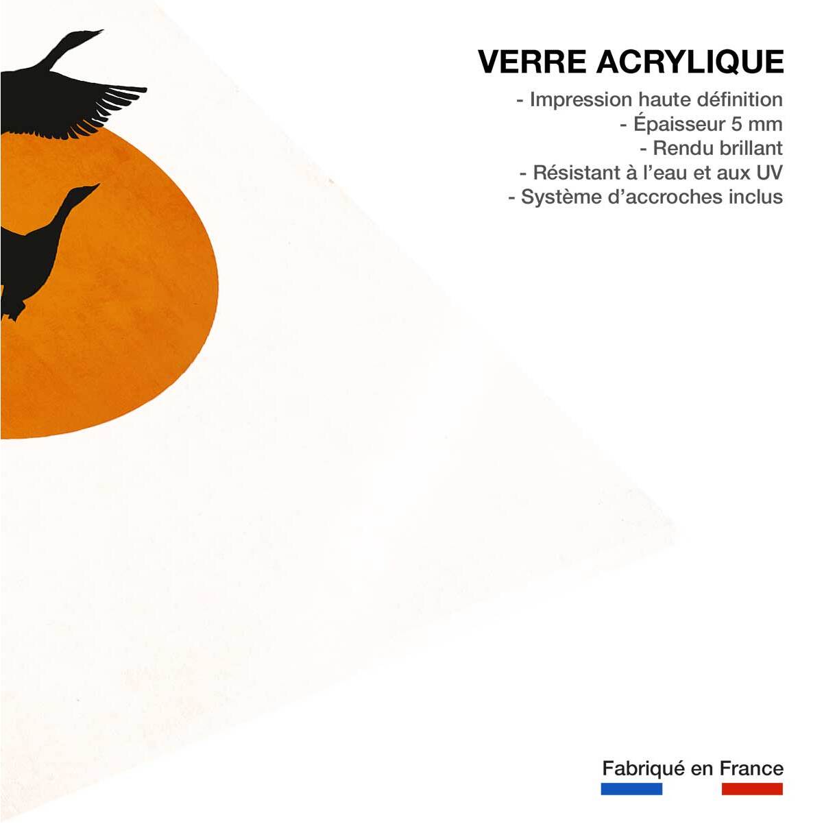 Tableau Retour des grues Tableau plexiglas