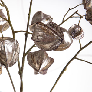 Ramo phisalis - Pezzi 6 - 22xH123x0,3cm - Bianchi Dino SpA