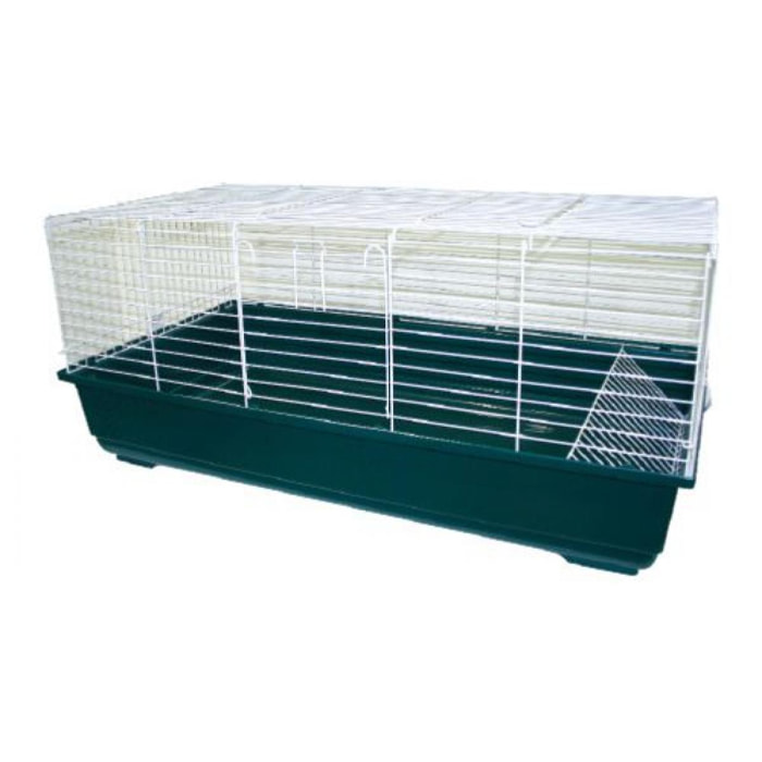 100 Gabbia per Cavia