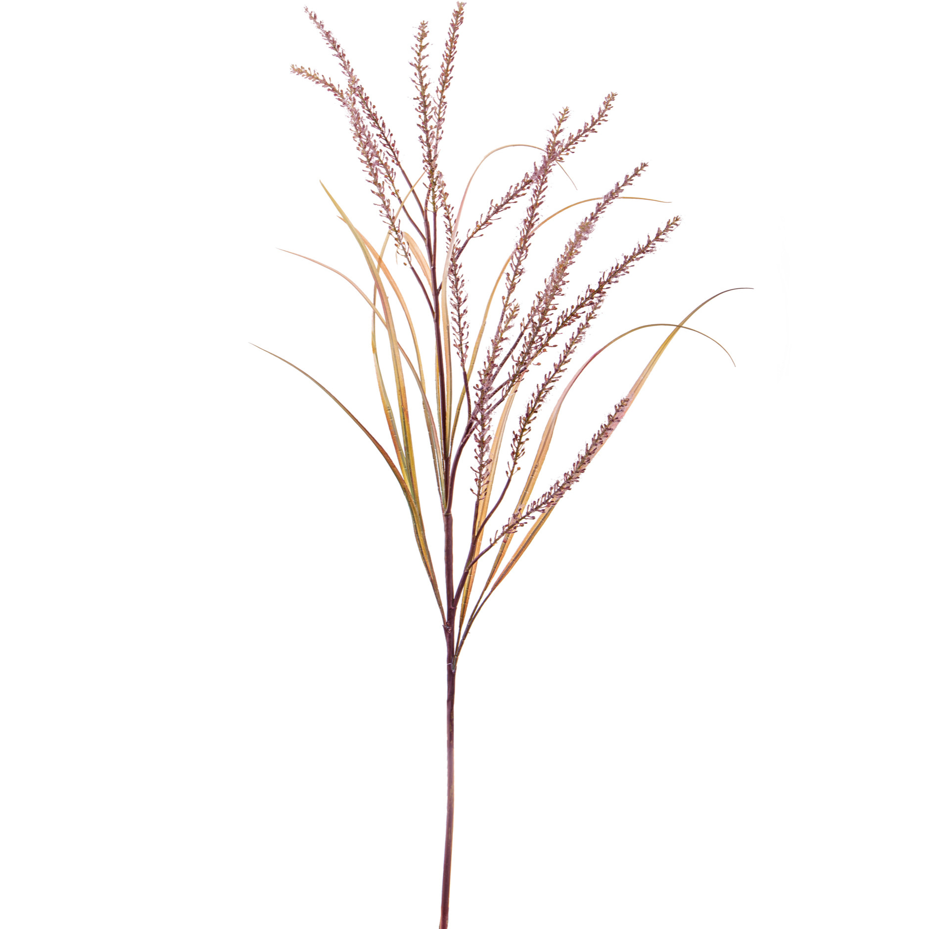 Pennisetum Con 14 Diramazioni. Altezza 130 Cm - Pezzi 1 - 24X130X5cm - Colore: Marrone - Bianchi Dino - Fiori Vari A Ramo