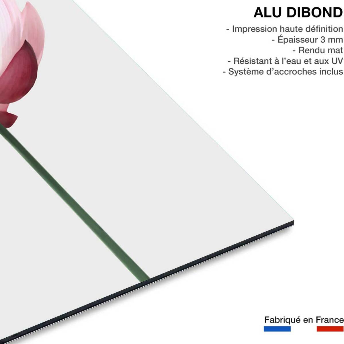 Tableau zen lotus rose  Tableau alu Dibond