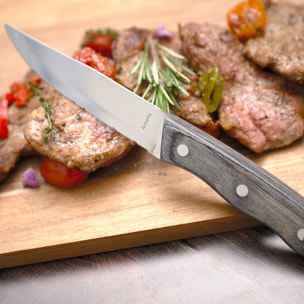 Hercule - Set de 12 couteaux steak