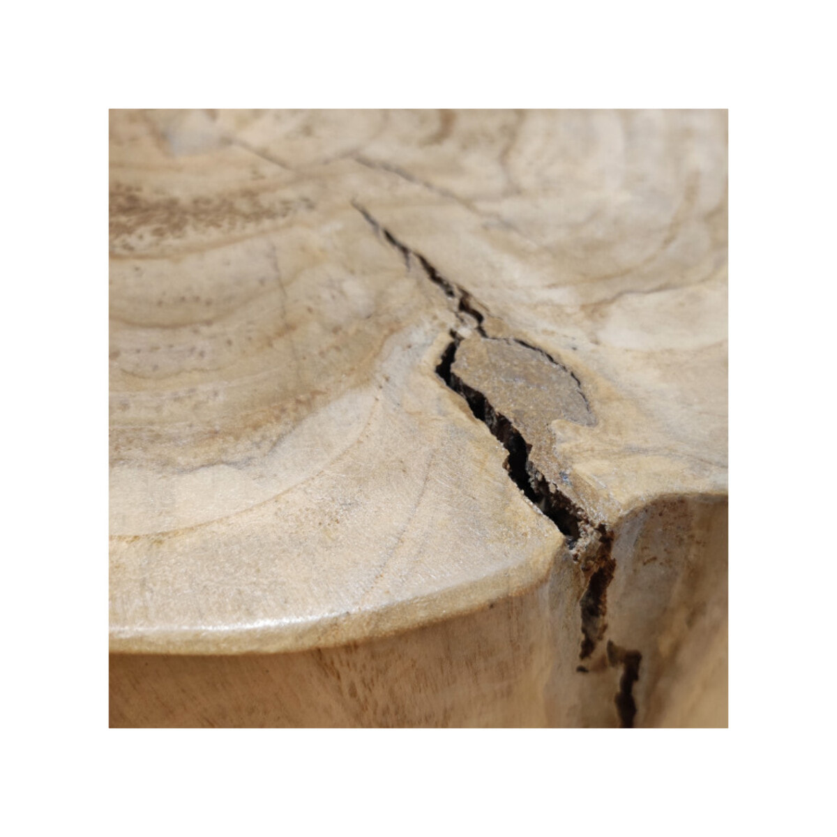 Table d'appoint ronde en racine de bois de teck massif - SUZANA