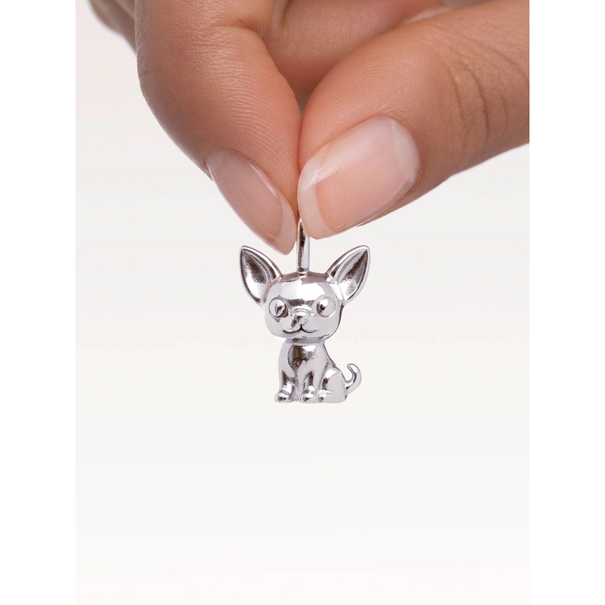Charm Chihuahua