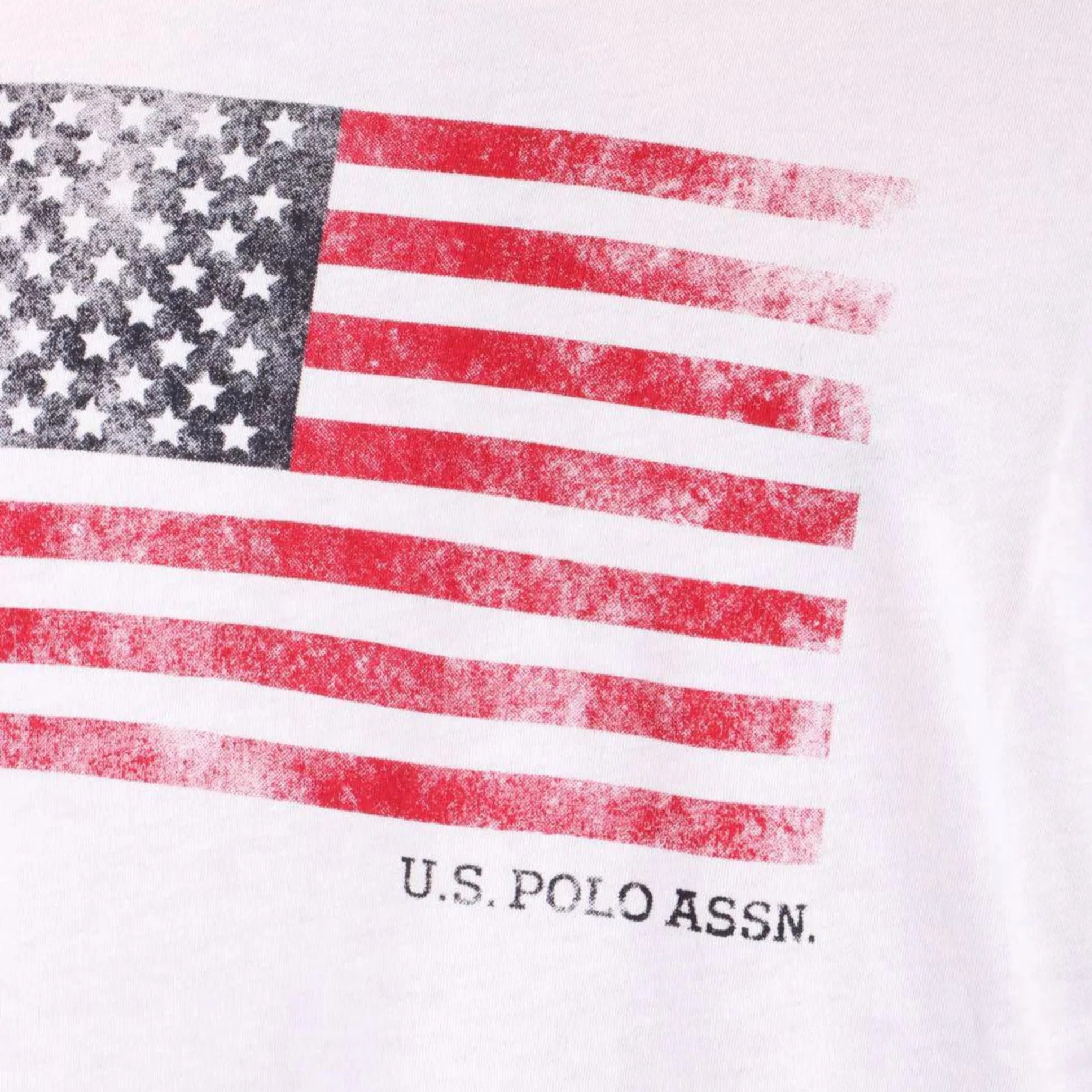 T-Shirt U.S. Polo Assn. Mick 67569 Bandiera Usa Uomo