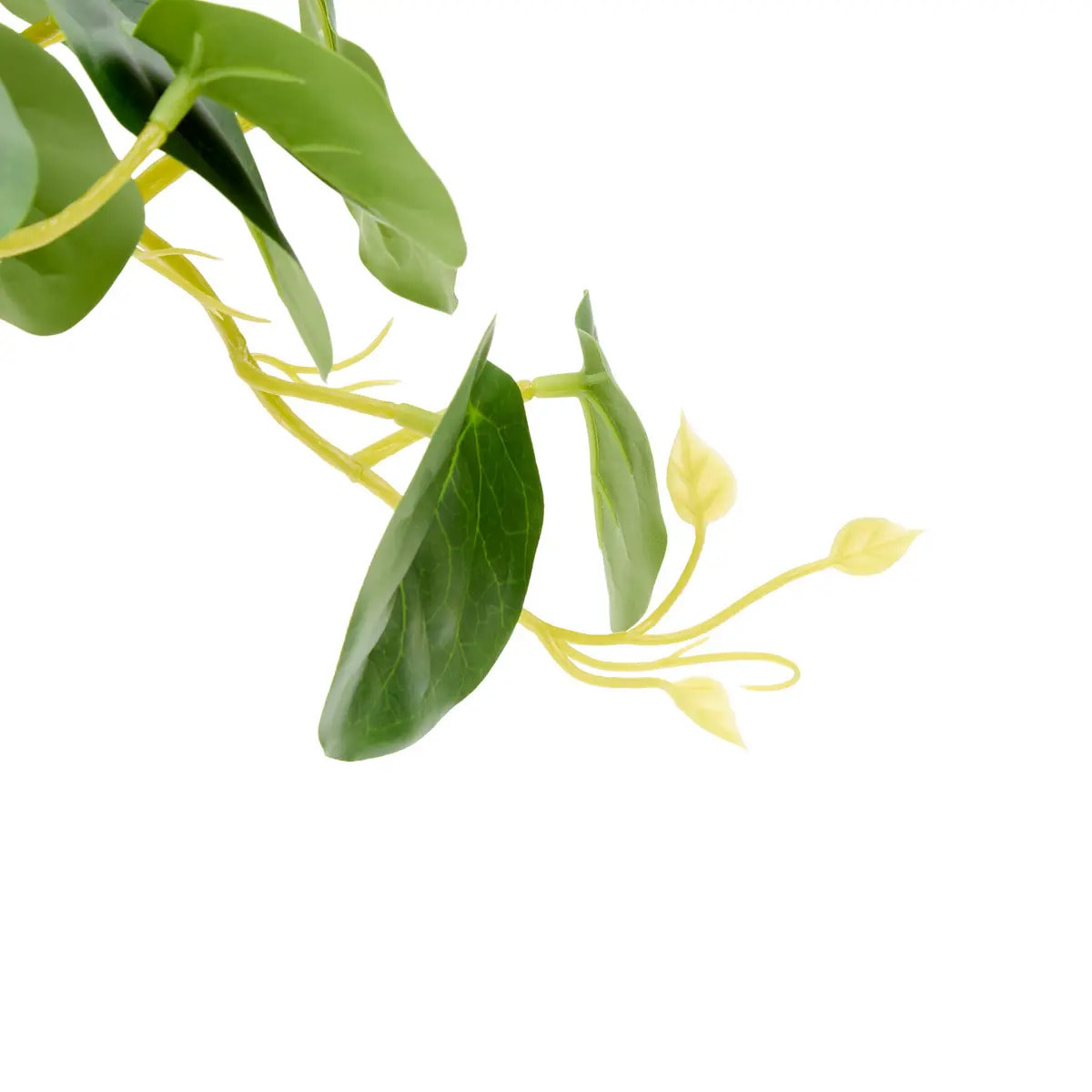 Plante artificielle Nippo H.29cm blanc