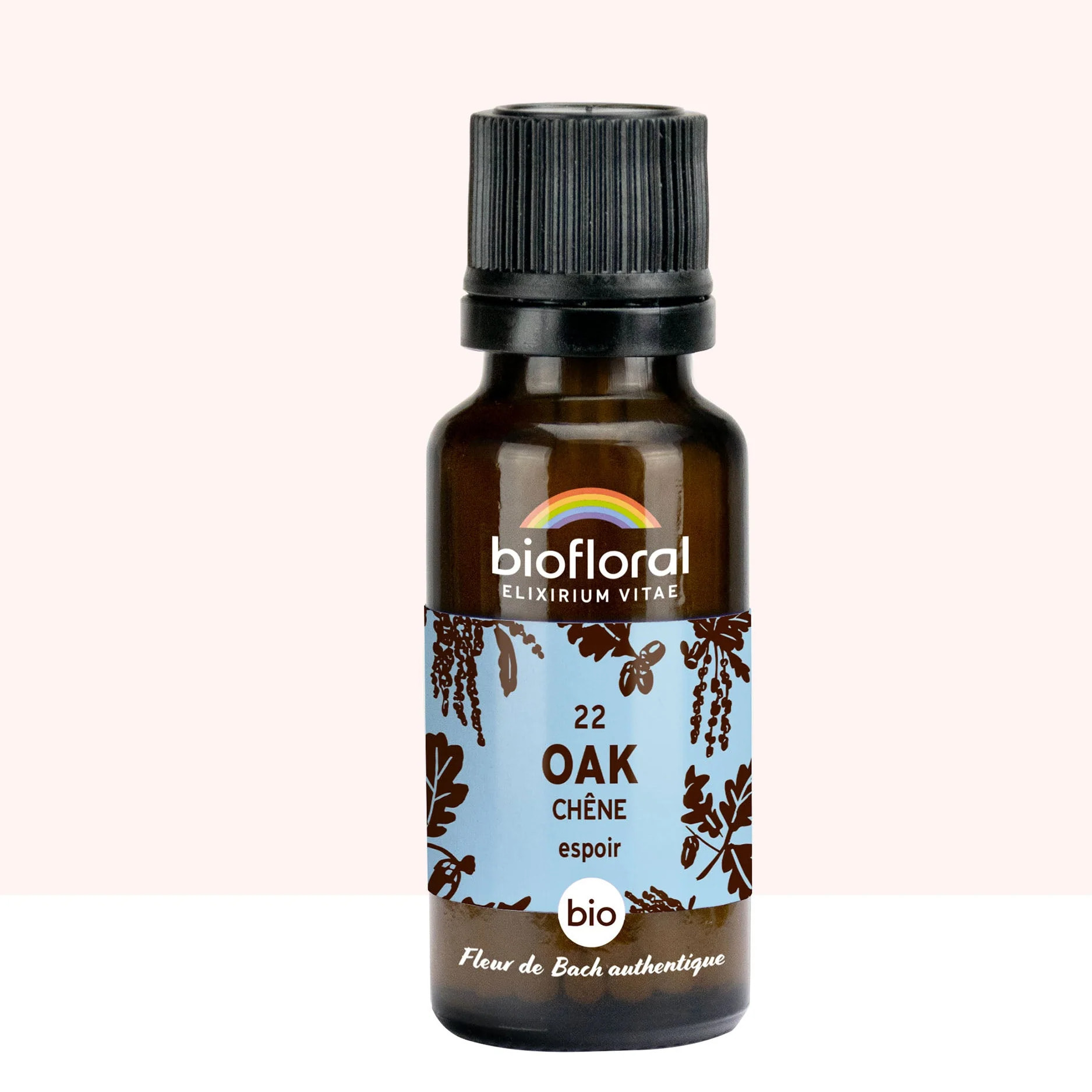 Biofloral - 22 Oak, Chêne - Bio - 19,5 gr