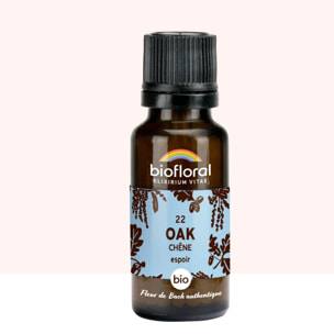 Biofloral - 22 Oak, Chêne - Bio - 19,5 gr