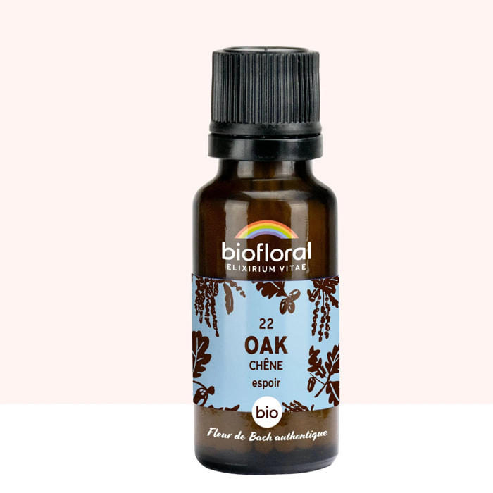 Biofloral - 22 Oak, Chêne - Bio - 19,5 gr