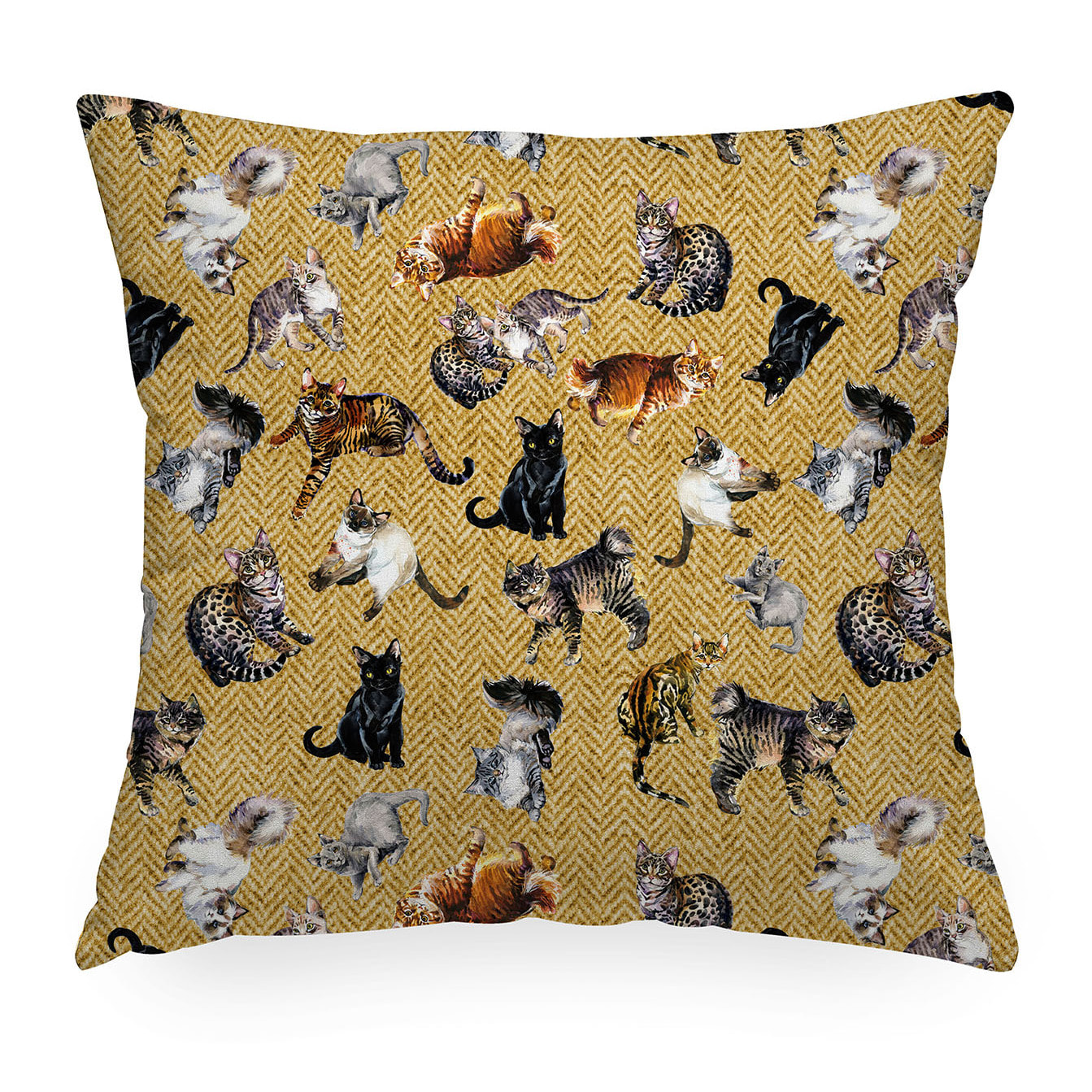 Cuscino arredo Greg Gatti