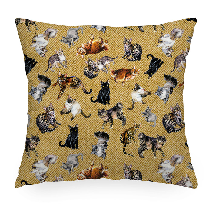 Cuscino arredo Greg Gatti