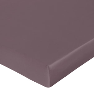 Drap housse satin de coton sureau