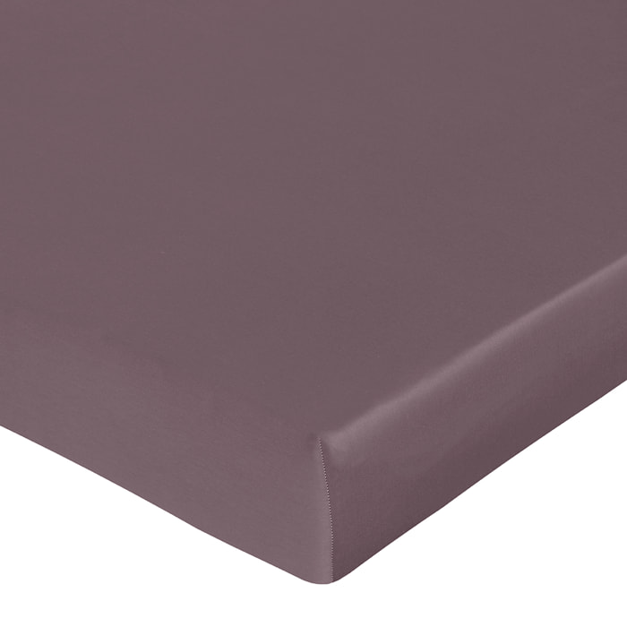 Drap housse satin de coton sureau
