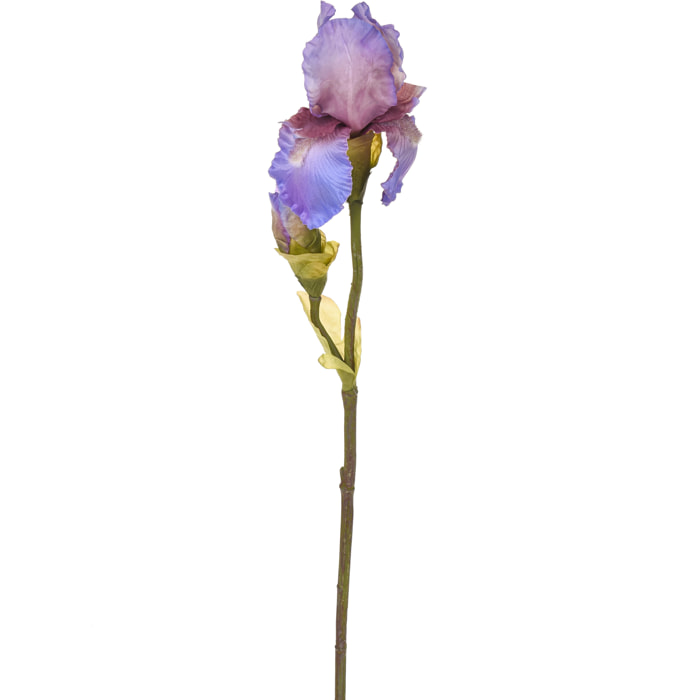 Iris Composto Da 2 Fiori. Altezza 85 Cm - Pezzi 4 - 6X85X6cm - Colore: Altro - Bianchi Dino - Fiori Artificiali