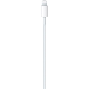 Câble lightning APPLE vers USB-C 2m