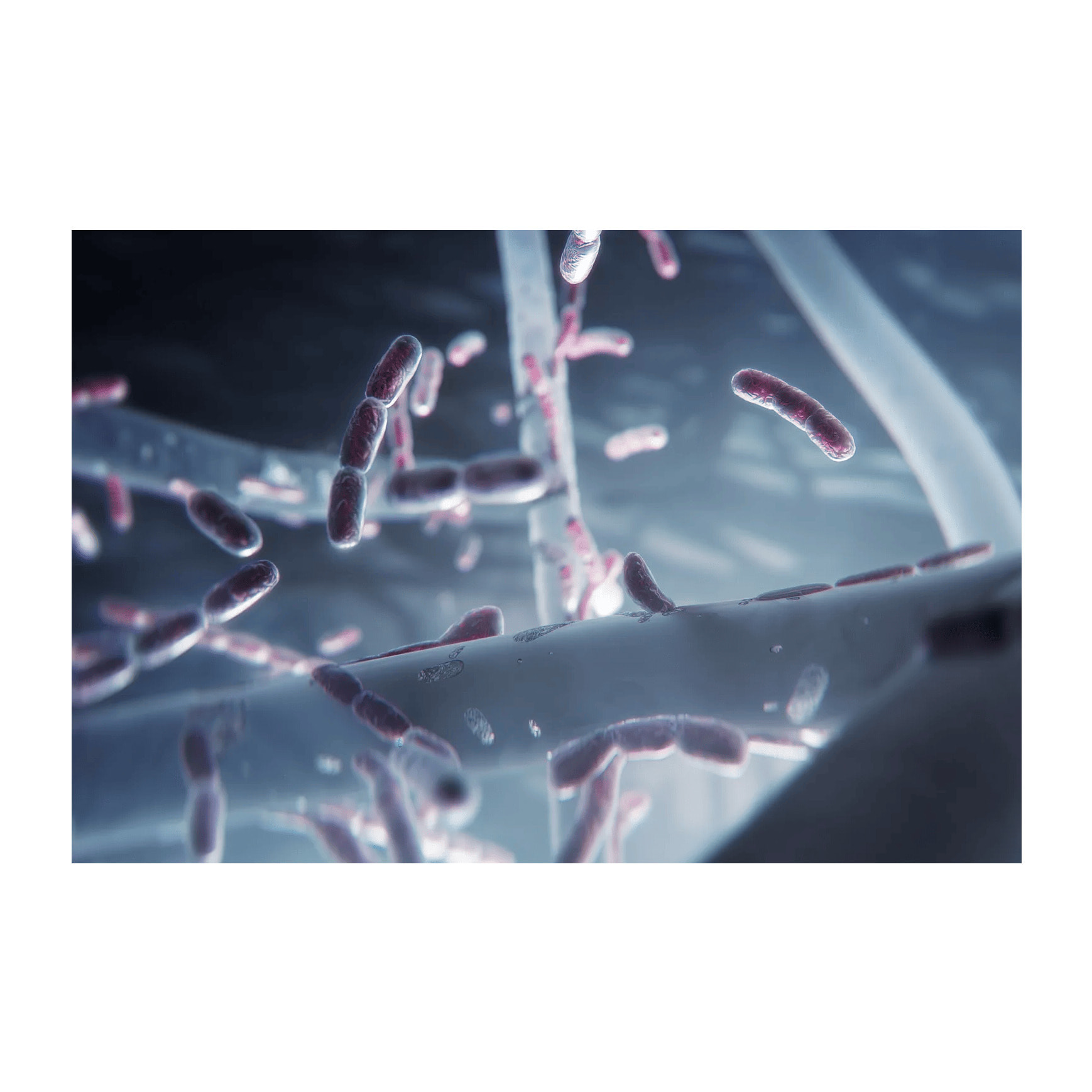 AEG Filtro de protección contra particulas ultrafinas, bacterías y virus para Multi 7000 AFWCLN5