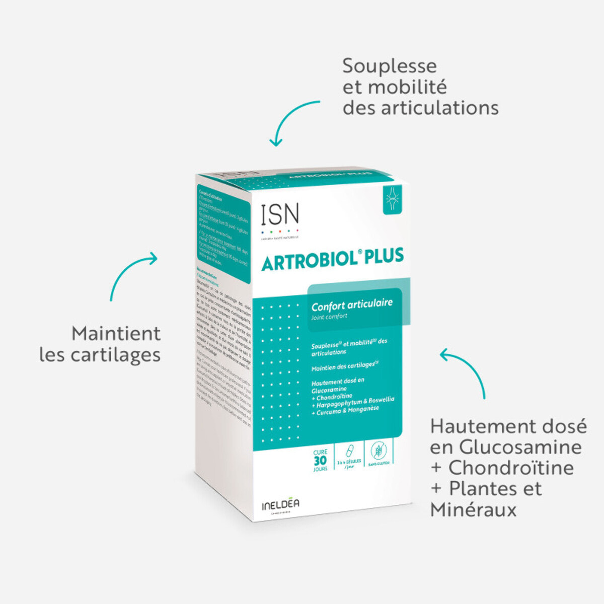 ISN - Artrobiol Plus - Complément alimentaire à base de Glucosamine, Chondroïtine, Harpagophytum - Souplesse des Articulations - Maintien du Cartilage & Ossature - 120 Gélules