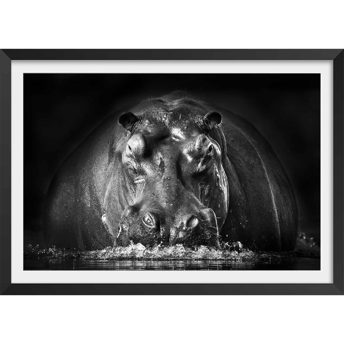 Affiche animaux portrait hippo Affiche + cadre en bois - Noir