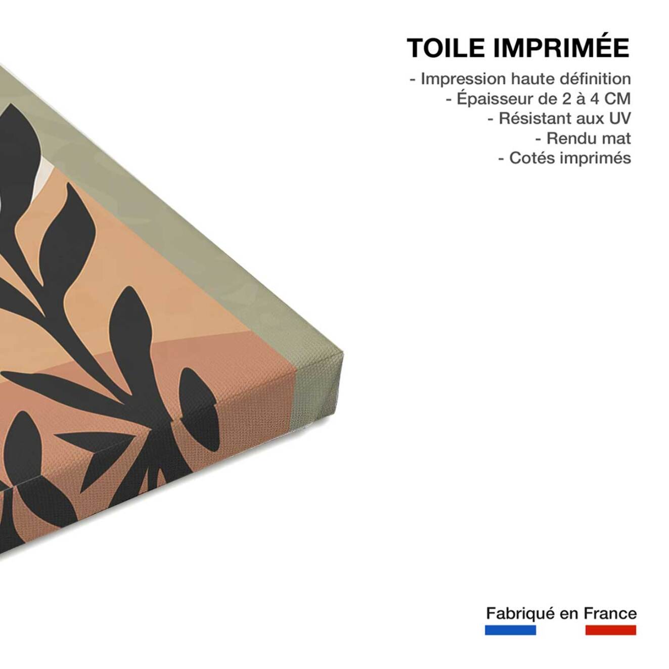 Tableau contemporain fleurs luna  Toile imprimée