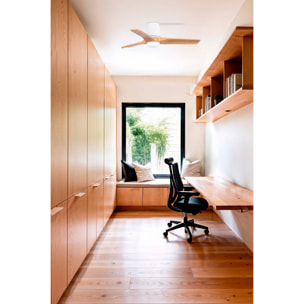 HEYWOOD TUB LED S Ventilatore a soffitto bianco/pin