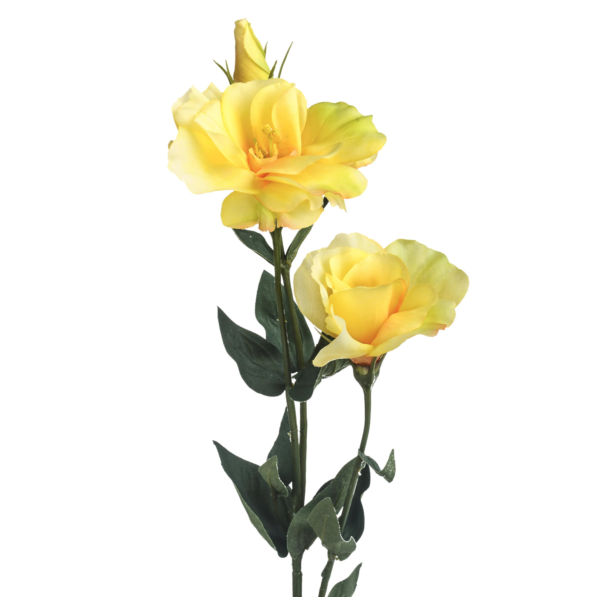 Lisianthus Composto Da 3 Fiori. Altezza 75 Cm - Pezzi 6 - 10X75X19cm - Colore: Giallo - Bianchi Dino - Fiori Artificiali