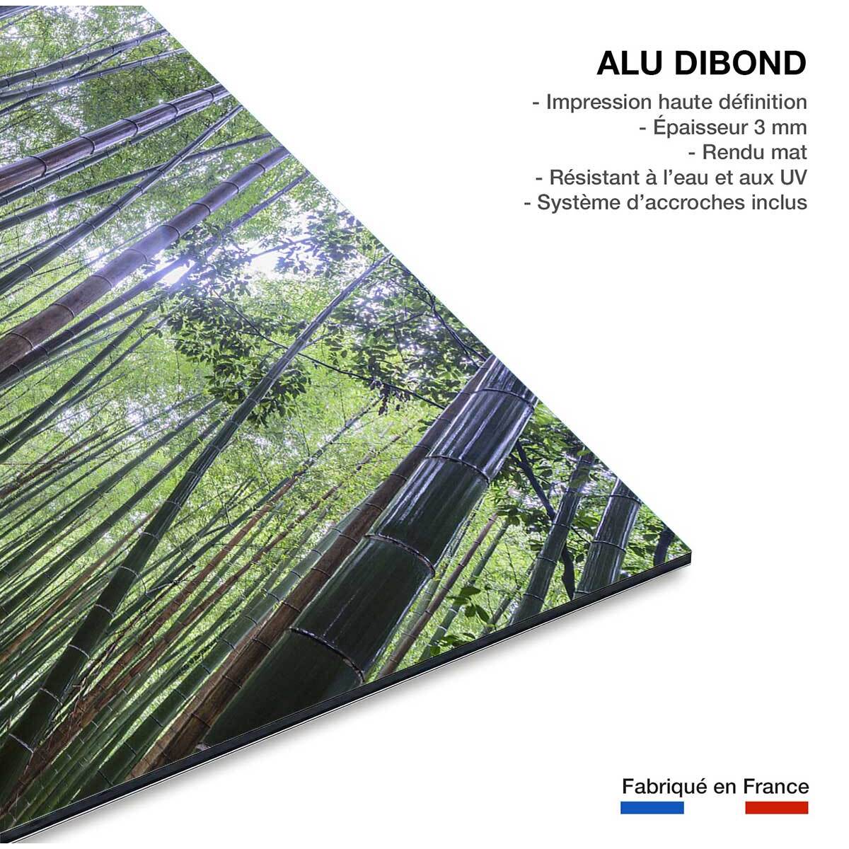 Tableau zen Bambous Geants Tableau alu Dibond