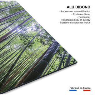 Tableau zen Bambous Geants Tableau alu Dibond