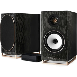 Enceinte bibliothèque active TRIANGLE Capella Etoile Noire