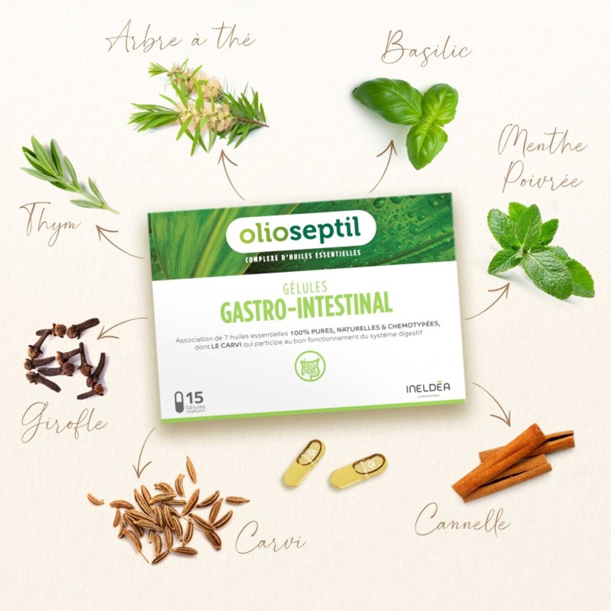 OLIOSEPTIL - Gastro-Intestinal - Participe au Bon Fonctionnement du Système Digestif - Complexe de 7 Huiles Essentielles Pures et Chémotypées en Gélules Végétales L-Vcaps - 15 Gélules