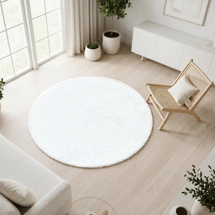 Tapis poils longs shaggy tissé motif uni RIBI