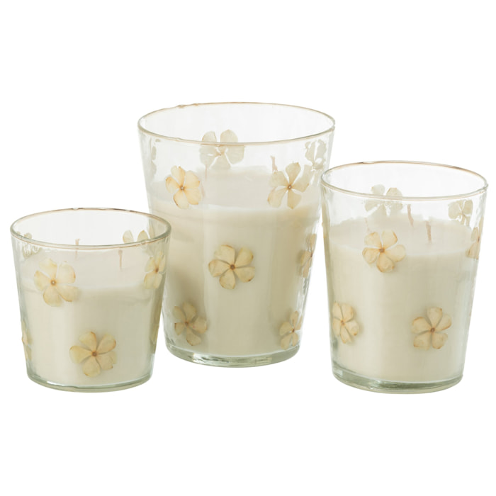 J-Line Bougie parfumée Fleurs – Tender Rose – verre – transparent – large – 75U