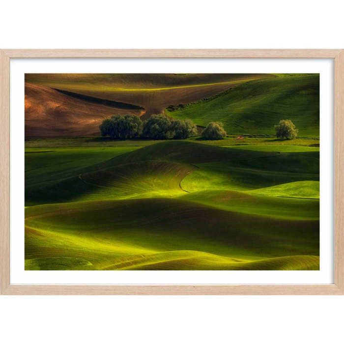 Affiche Colline USA Affiche sous cadre bois