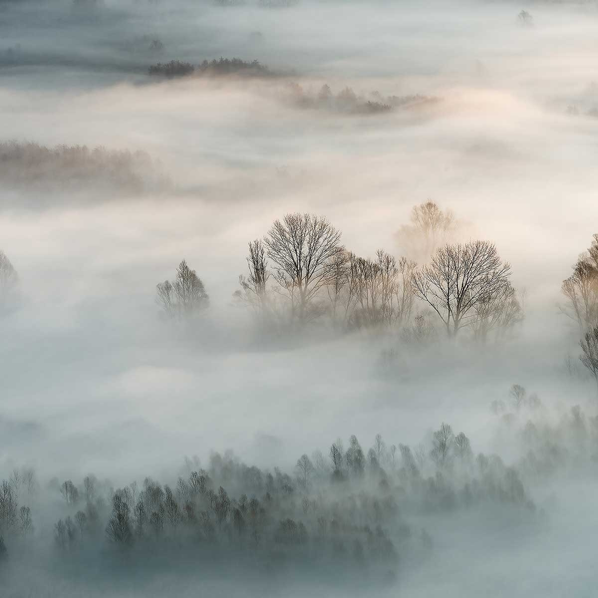 Affiche paysage brouillard hivernal Affiche sous cadre bois