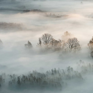 Affiche paysage brouillard hivernal Affiche sous cadre bois