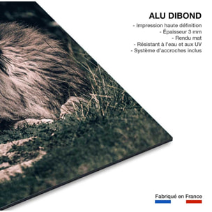 Tableau lion mon roi Tableau alu Dibond