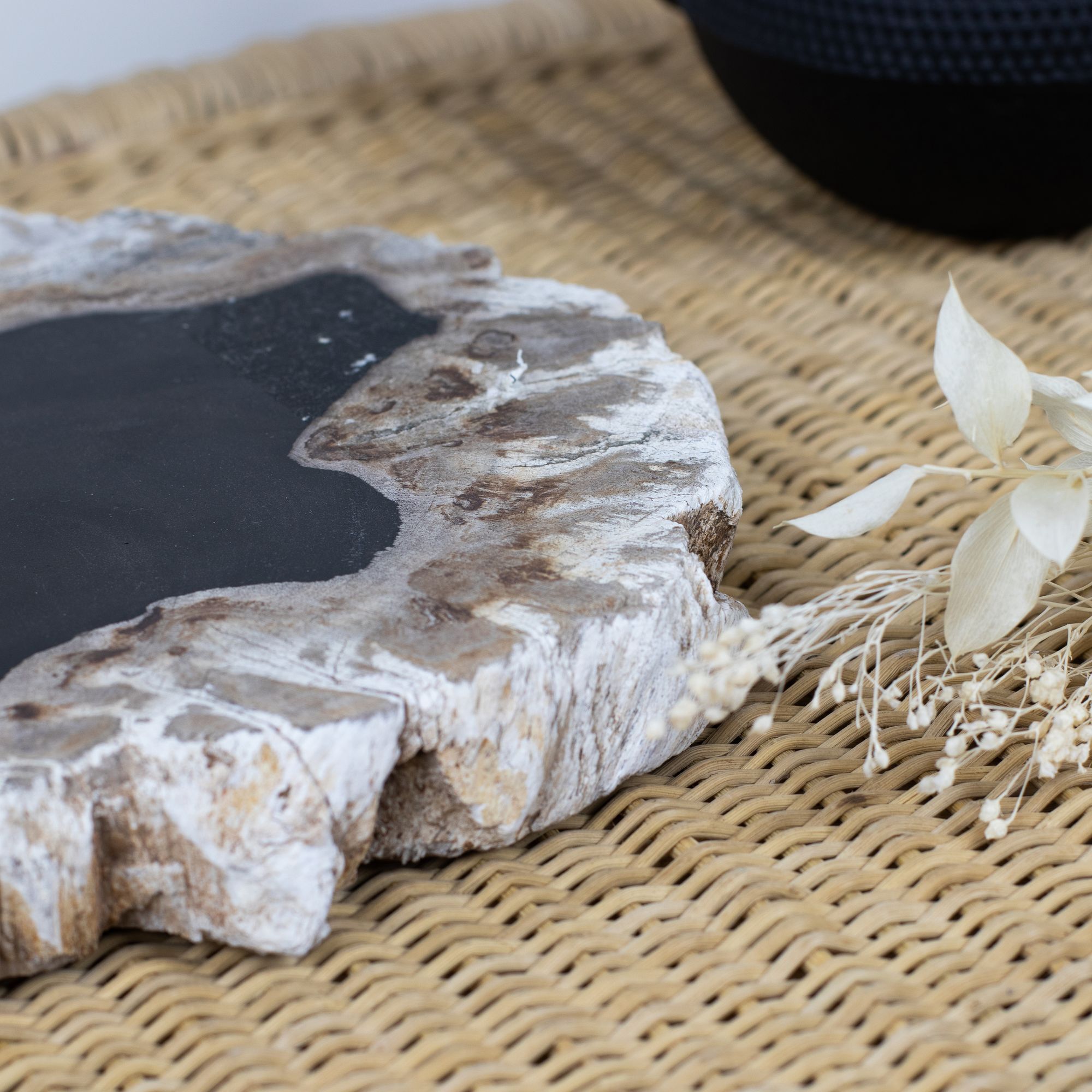 Plateau de présentation en bois pétrifié nuancé