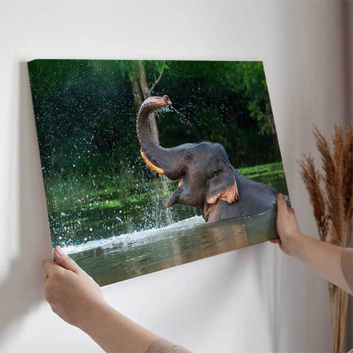 Tableau éléphant sauvage éclaboussures d’eau tropicales Toile imprimée