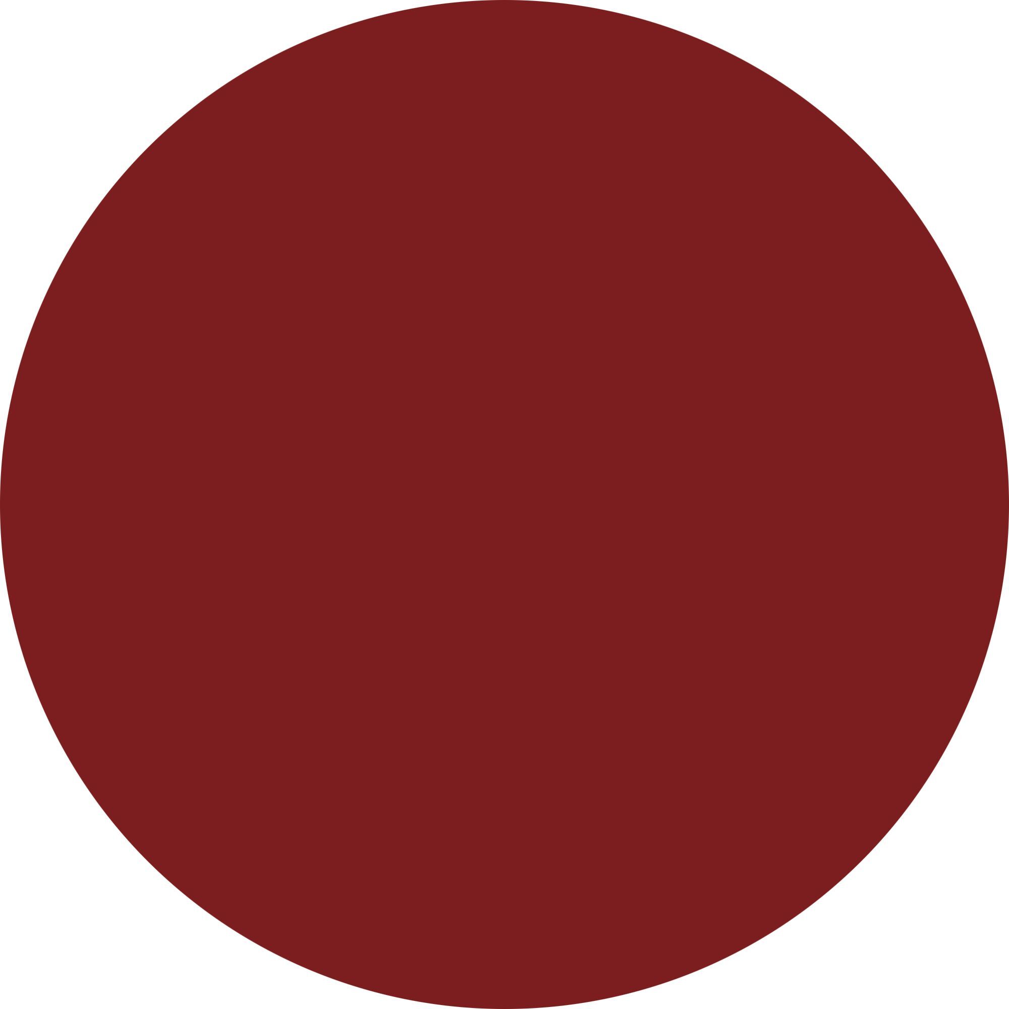 SUNKISS SHINY LIPSTICK Rossetto dal finish brillante.