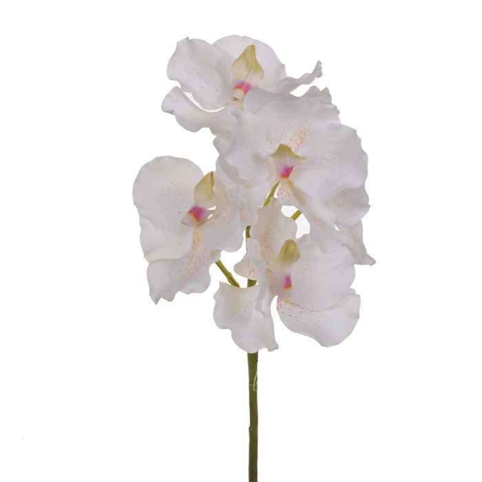 Orchidea Vanda. Altezza 62 Cm - Pezzi 4 - 18X62X11cm - Colore: Altro - Bianchi Dino - Fiori Artificiali