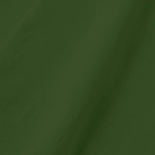 Lot de 2 sets de table anti-taches Vert Uni