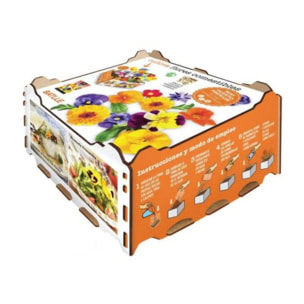 Huerto Premium Flores Comestibles Batlle