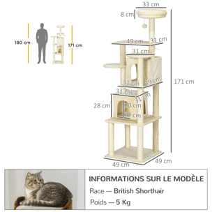 Arbre à chat modulable - griffoirs, 2 niches, 4 plateformes, 2 boules suspendues - peluche douce beige