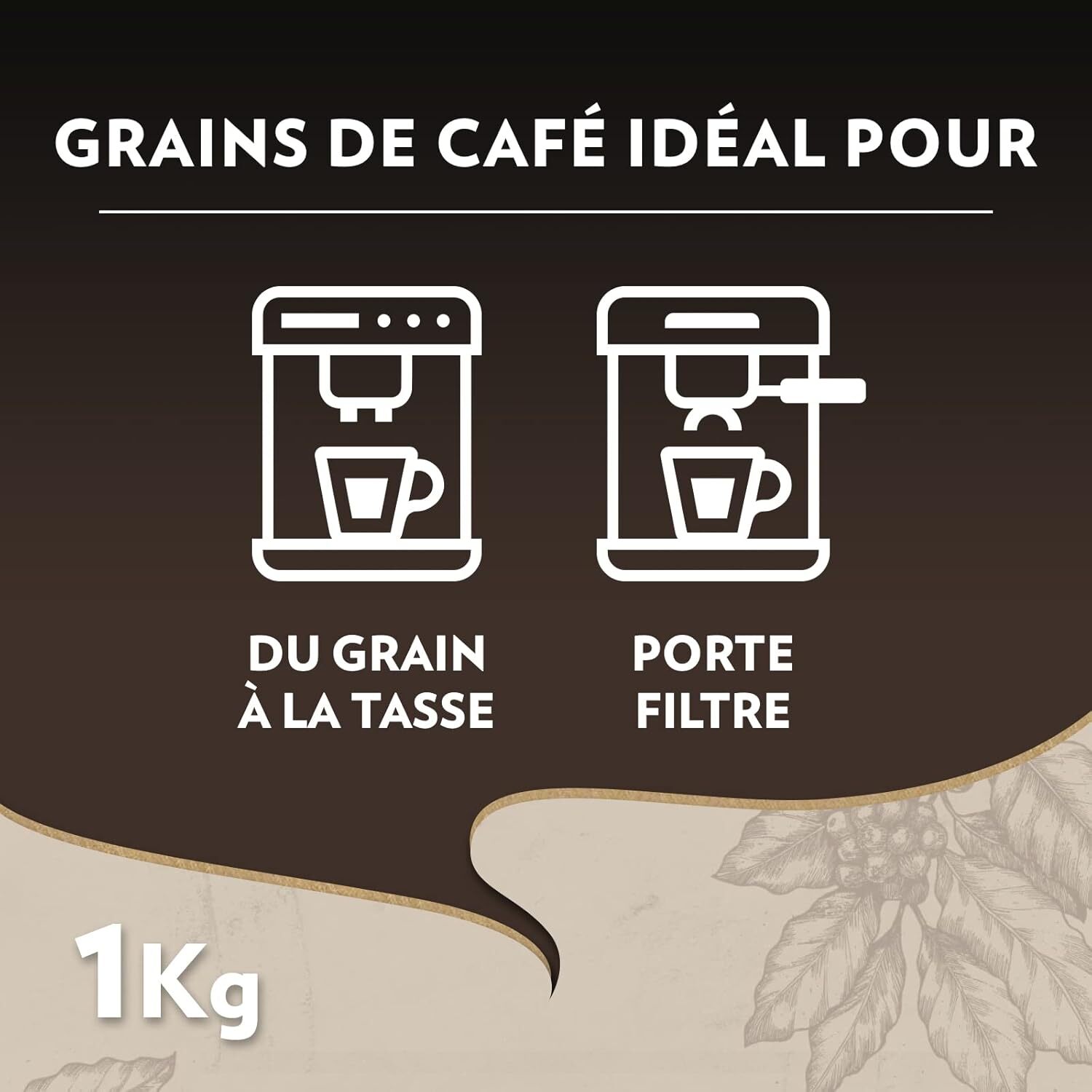 Grains Maestro Bio 1kg certifié Bio 100% arabica